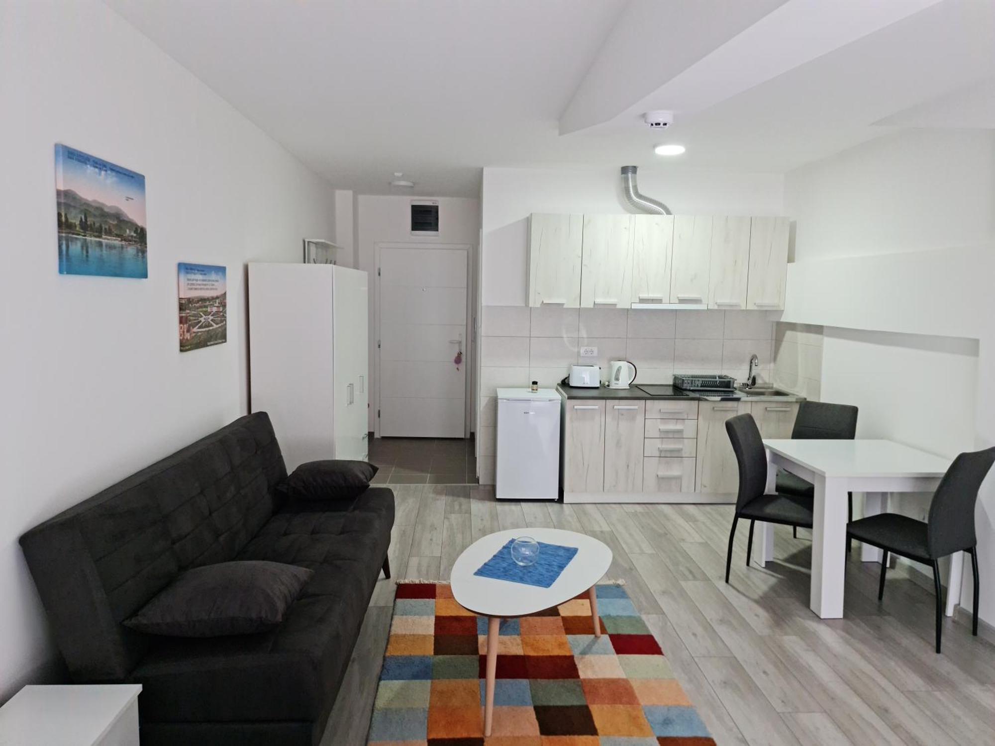 Studio Apartmani Banja Koviljaca Room photo