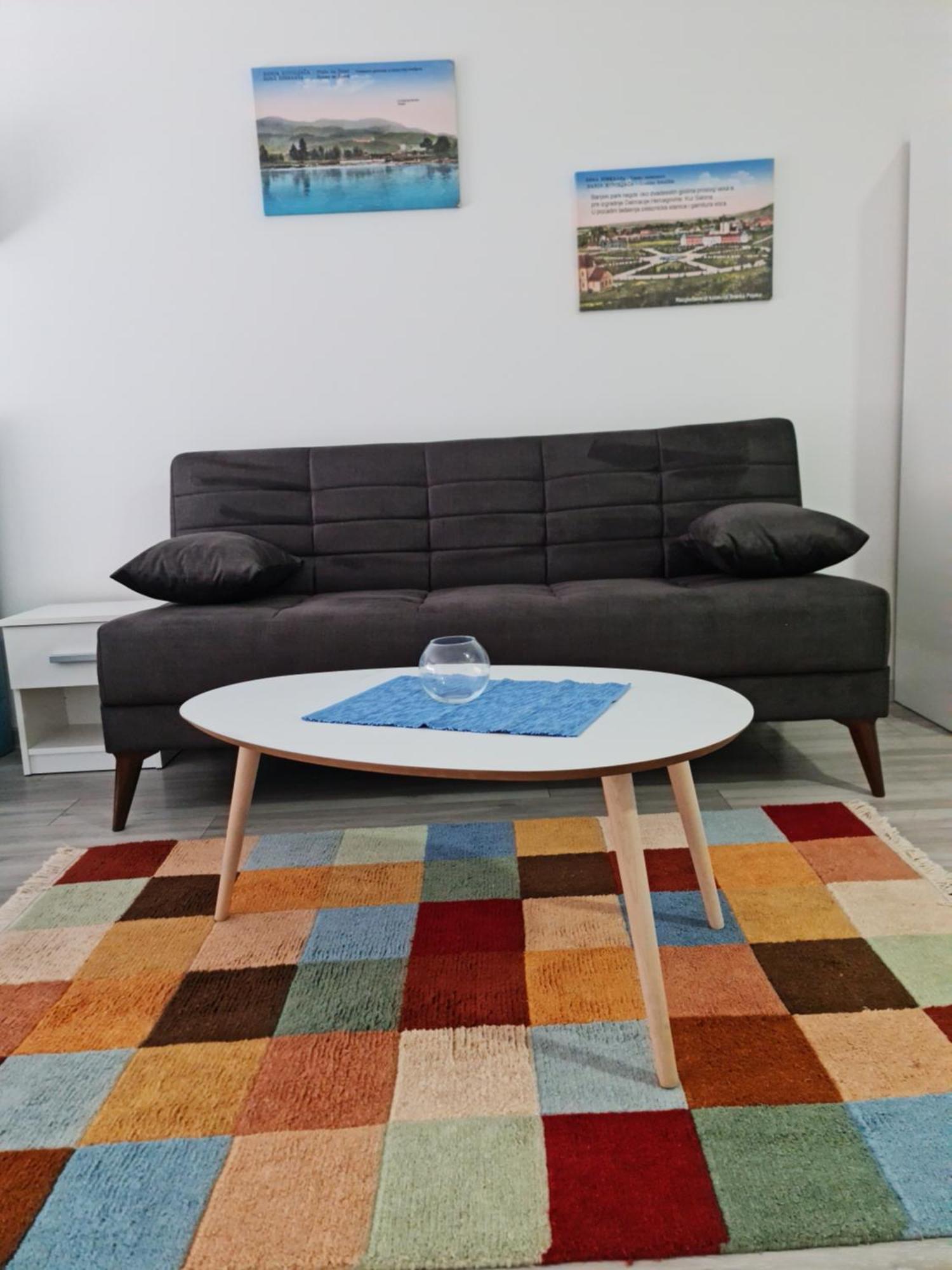 Studio Apartmani Banja Koviljaca Room photo